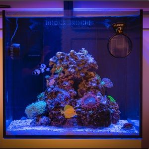 Meet your Posher, Derek